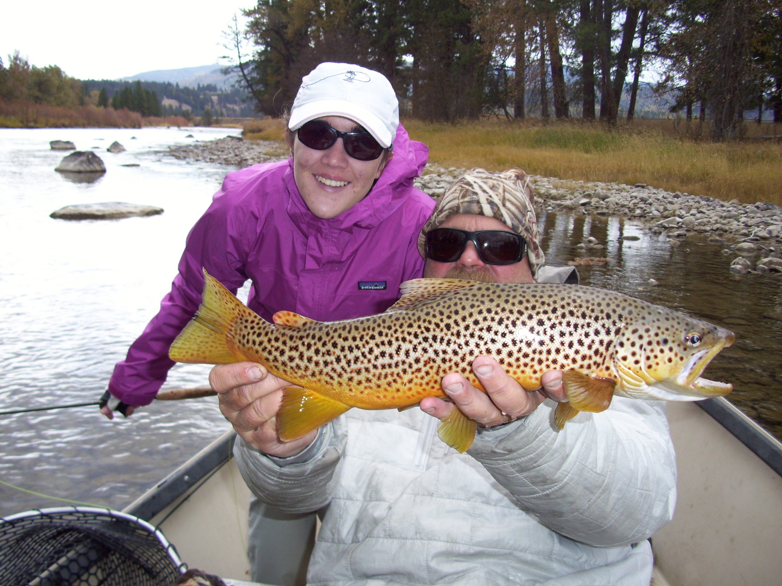 Trophy brown close-up